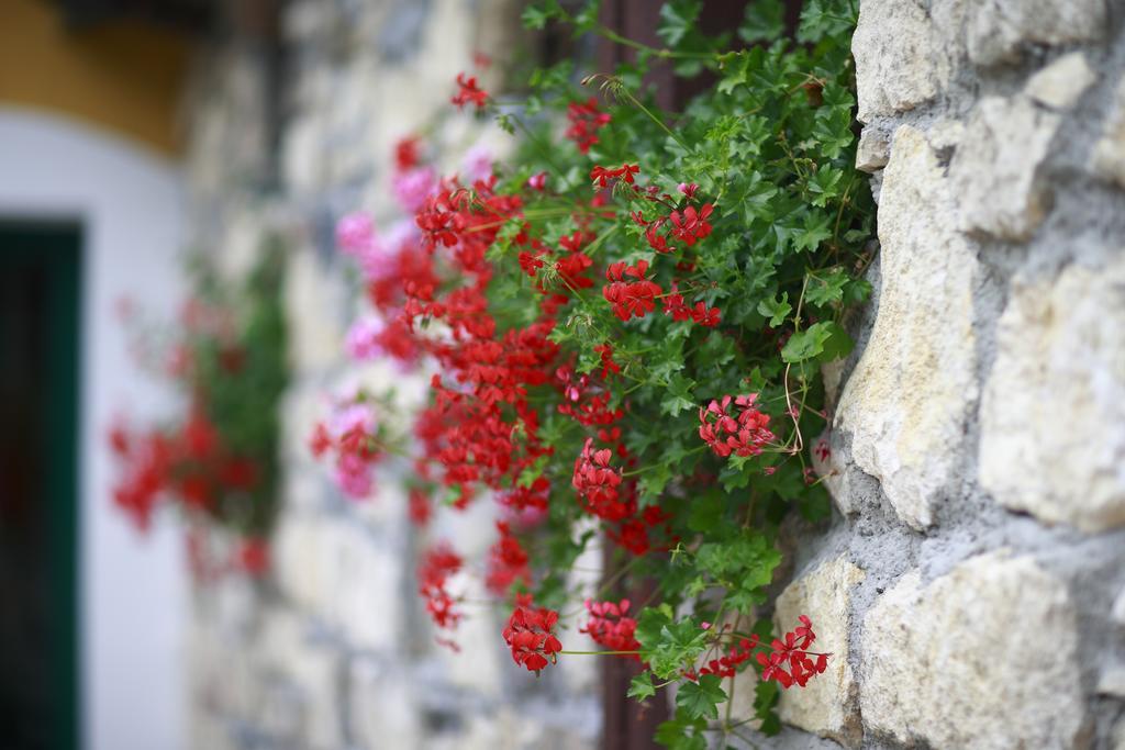 Guesthouse Villa Zelenjak Ventek Kumrovec Bagian luar foto